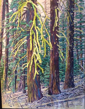Yosemite Moss Branches